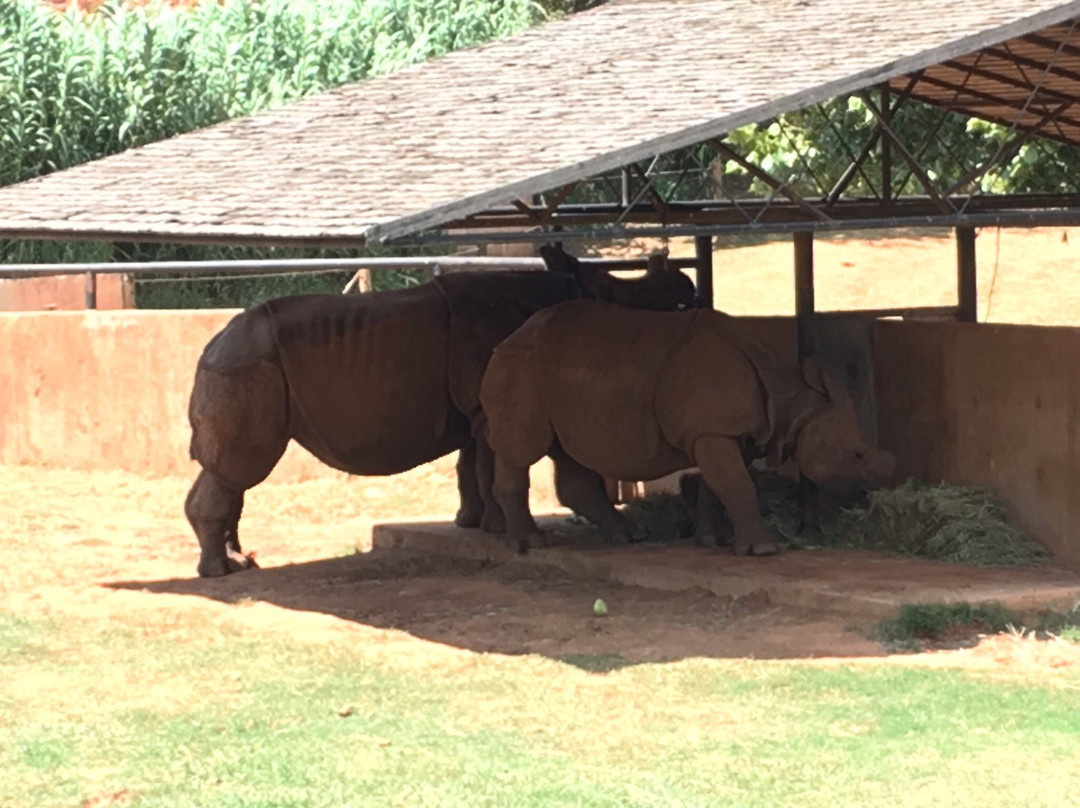 Oklahoma City Zoo and Botanical Garden-俄克拉何马城必去景点