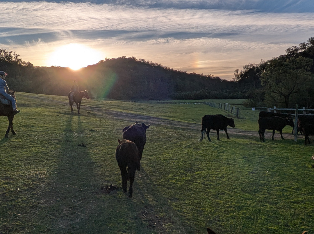Chapman Valley Horse Riding-Howes Valley必去景点