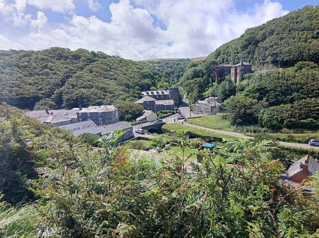 The Wellington Boscastle