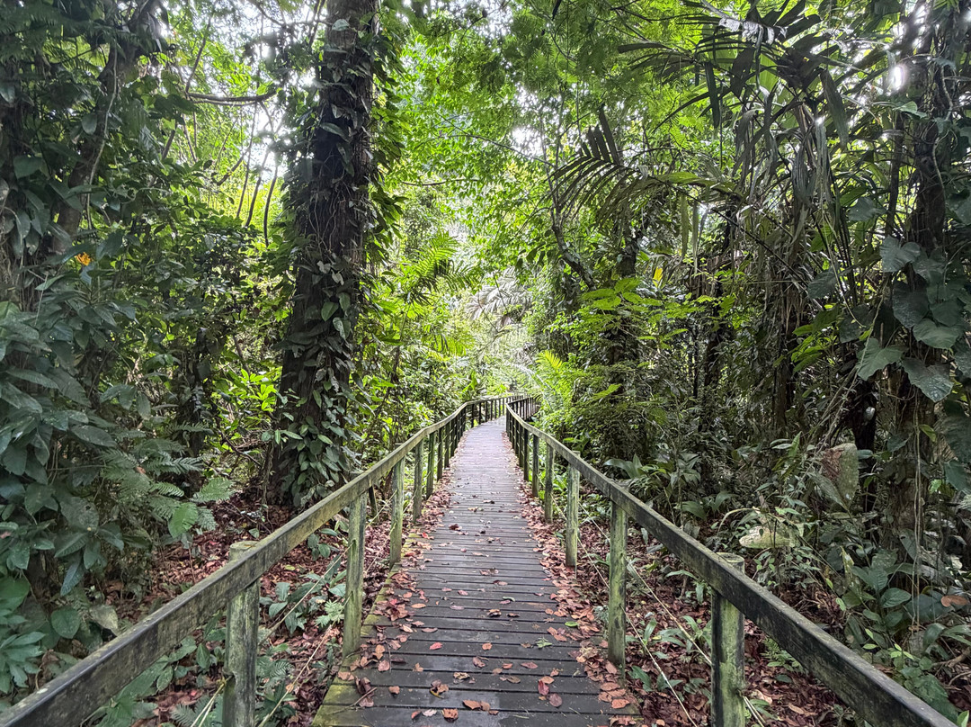 Manuel Tour Guide-卡维塔必去景点