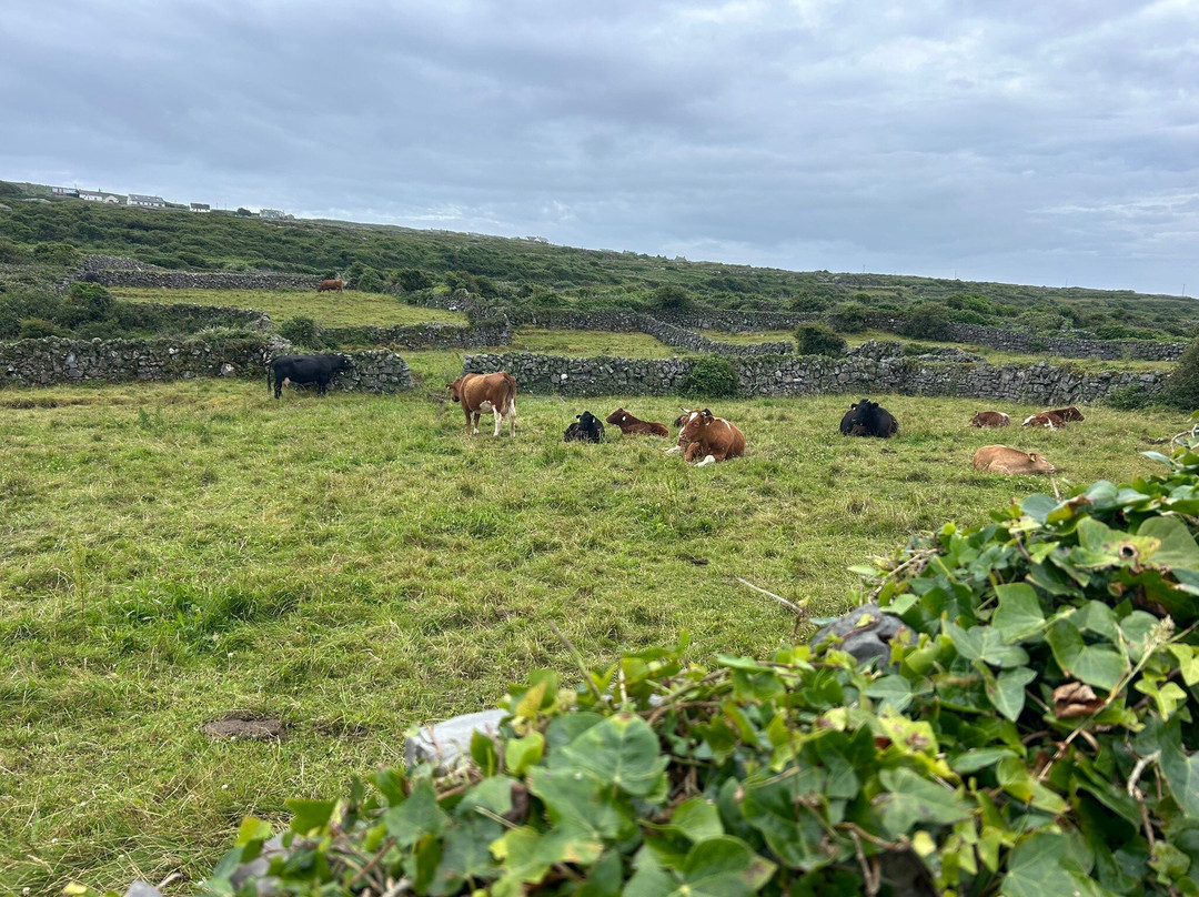 Aran Bike Hire-Inishmore必去景点