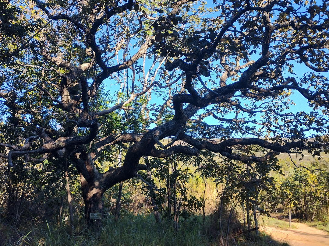 Parque Estadual Serra de Caldas-Caldas Novas必去景点