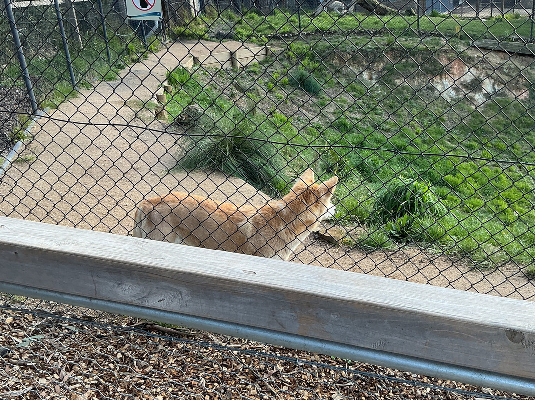 Ballarat Wildlife Park-巴拉瑞特必去景点