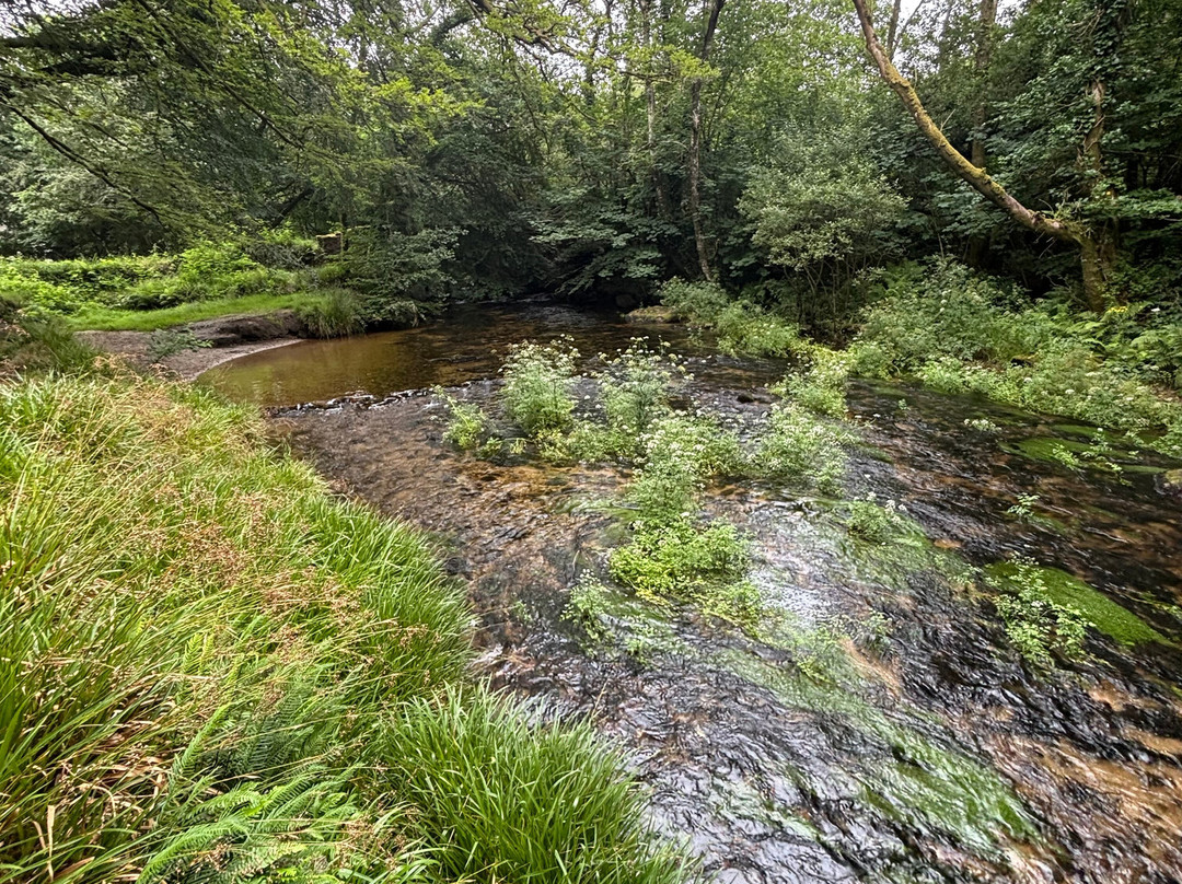 Golitha Falls-利斯卡德必去景点