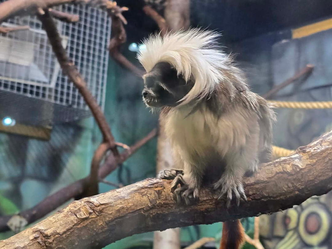 Folly Farm-Begelly必去景点