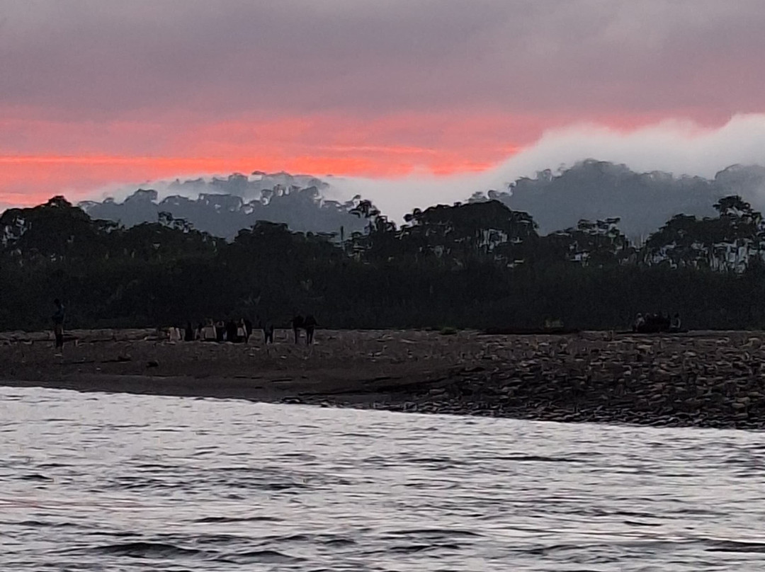 Peru Amazon Expeditions-Manu必去景点