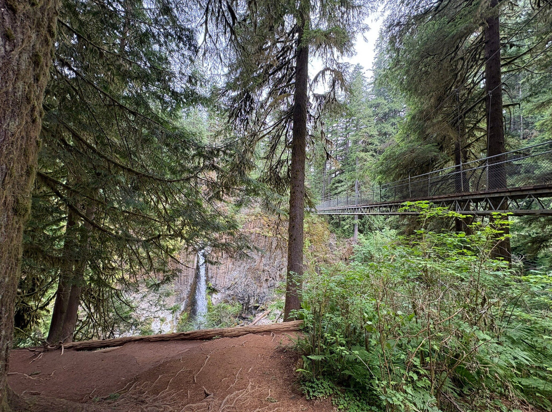 Drift Creek Falls Trail-Otis必去景点