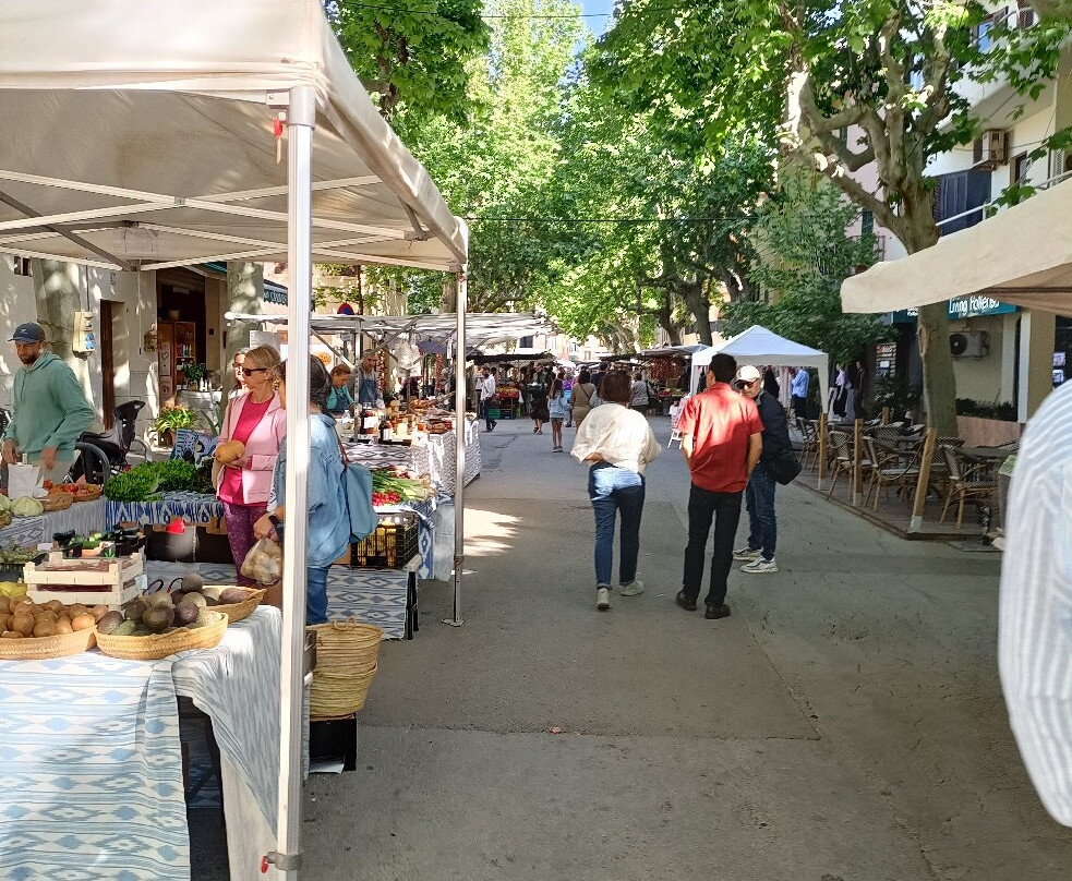 Pollensa Market-Pollenca必去景点