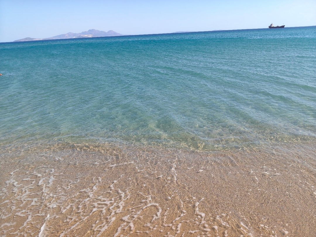 Magic Beach