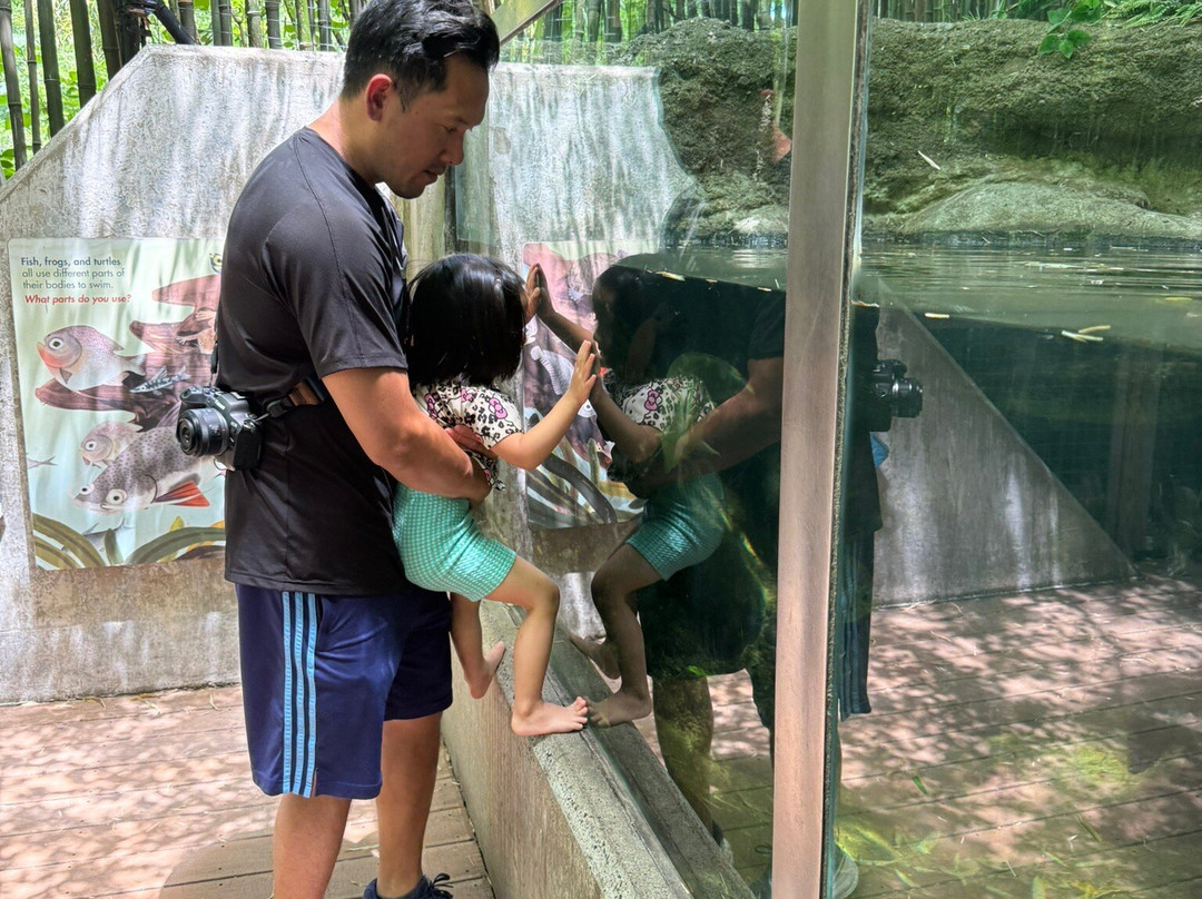Bronx Zoo-布朗克斯必去景点