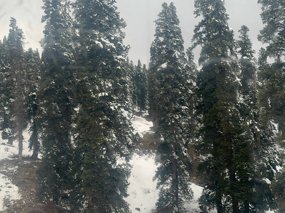 Gulmarg Gondola-贡马必去景点