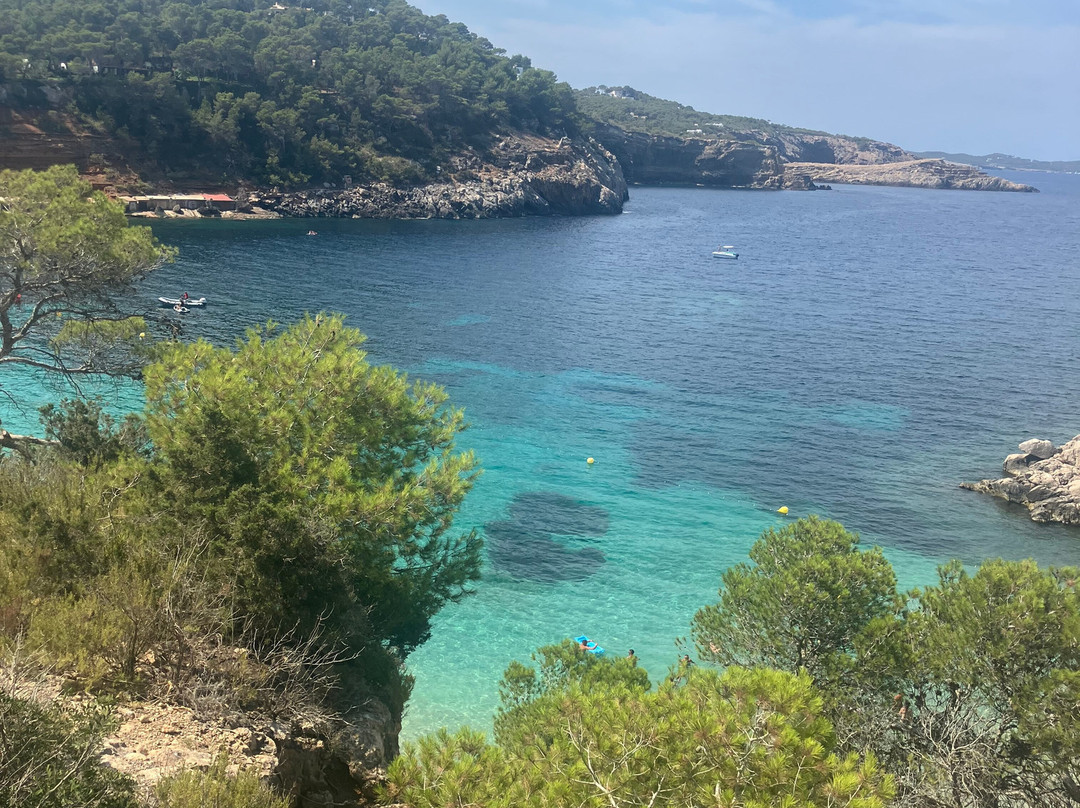Cala Saladeta-圣安东尼德波特曼尼必去景点