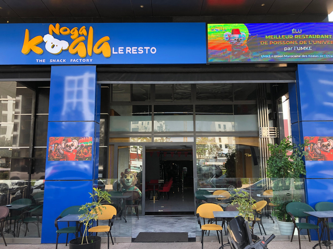 Noga Koala The Resto