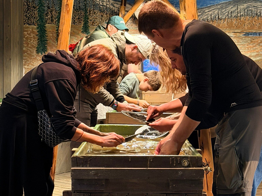 Gold Museum-Tankavaara必去景点