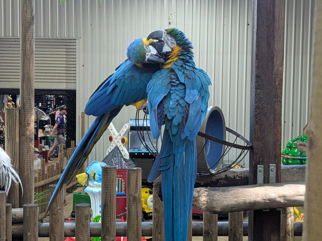 Cooberrie Park Wildlife Sanctuary-Yeppoon必去景点