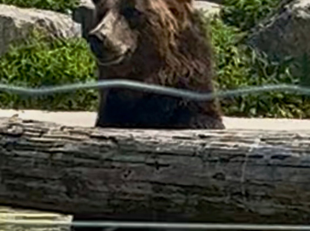 Wolds Wildlife Park-Horncastle必去景点