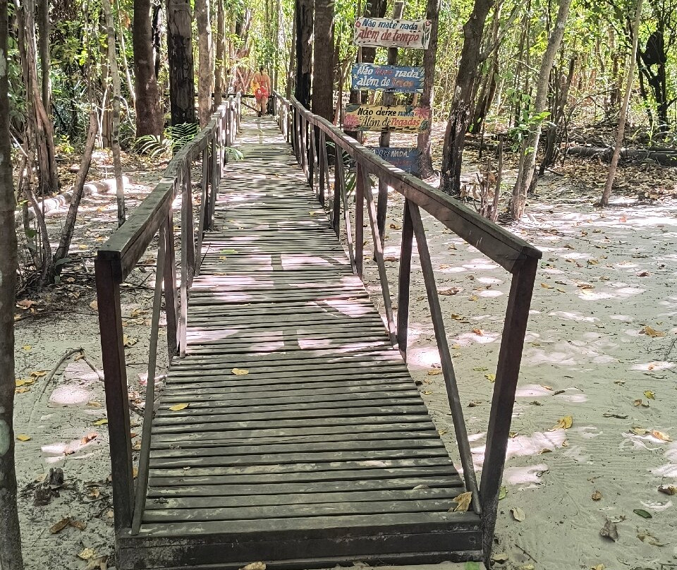 Fervedouro do Buriti-Mateiros必去景点