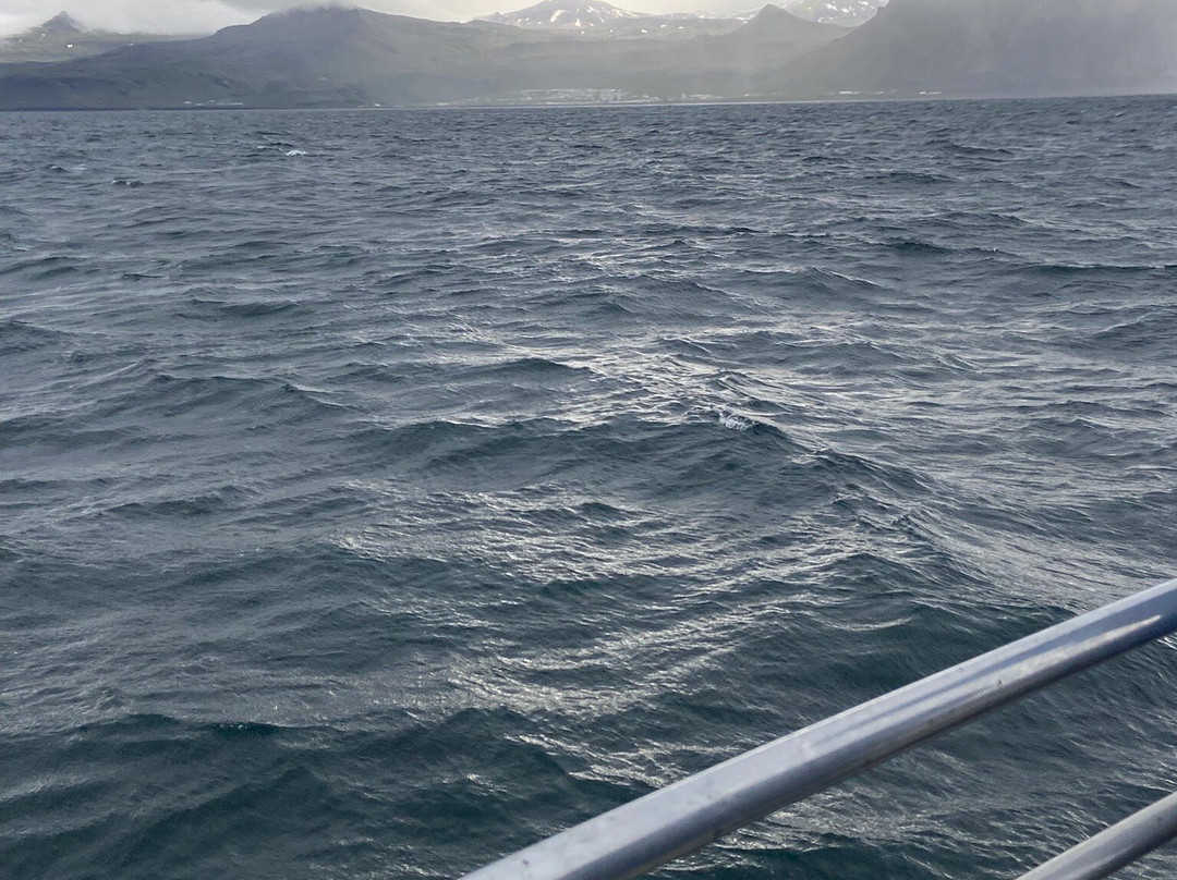 Laki Tours Whale Watching - Olafsvik-Olafsvik必去景点