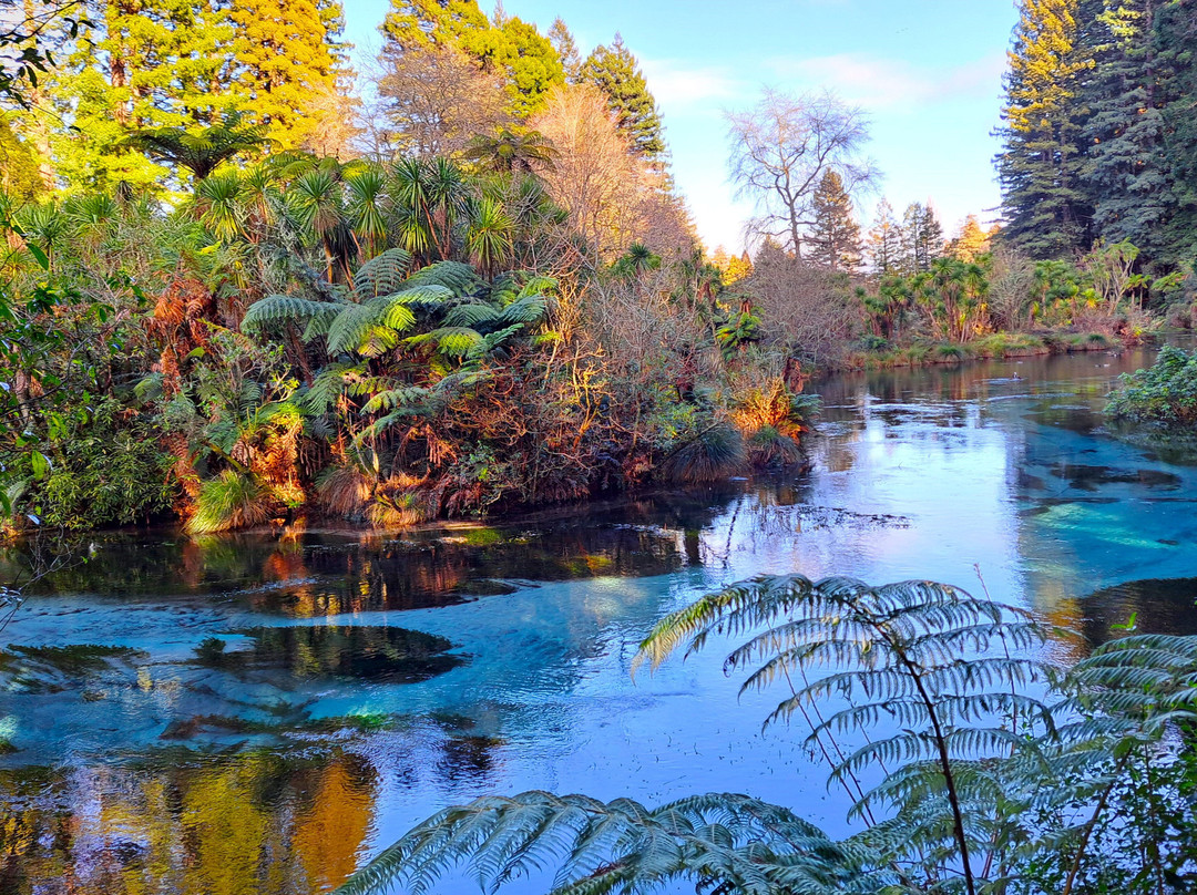 Hamurana Springs Nature Reserve-哈姆拉娜必去景点