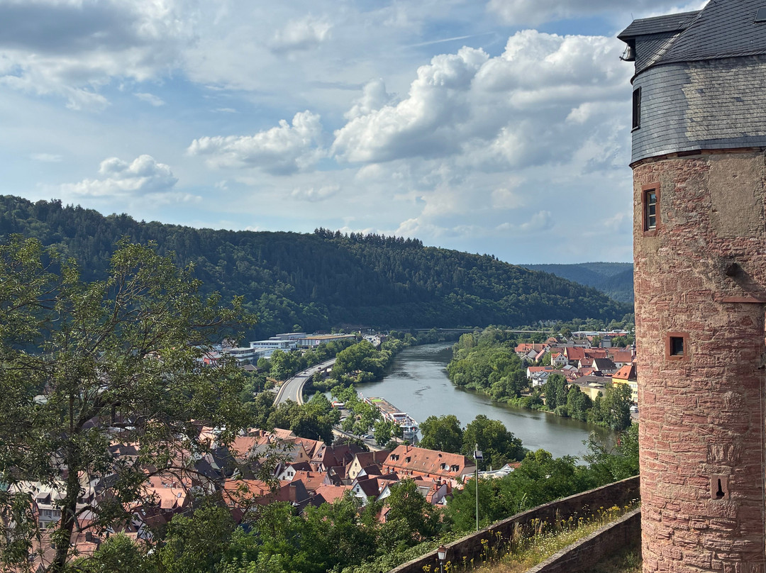 Burg Wertheim-沃特海姆必去景点