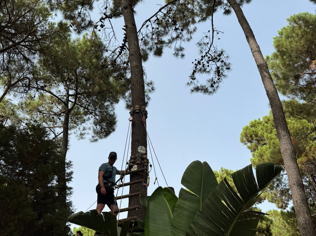 Aventura Amazonia Marbella-太阳海岸必去景点
