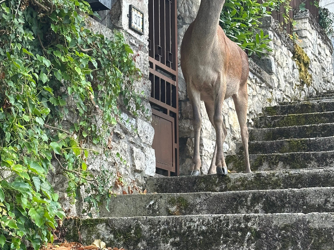 Centro Visita Daini-Scanno必去景点