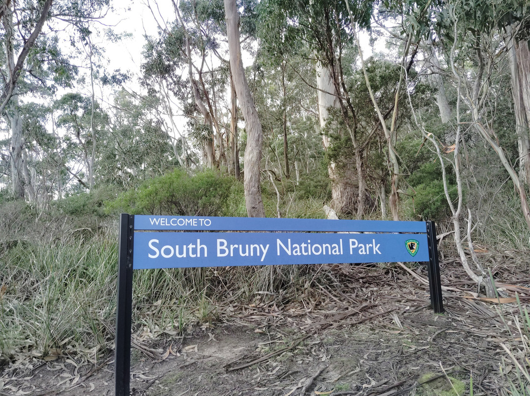 SeaLink Bruny Island Ferry-Kettering必去景点