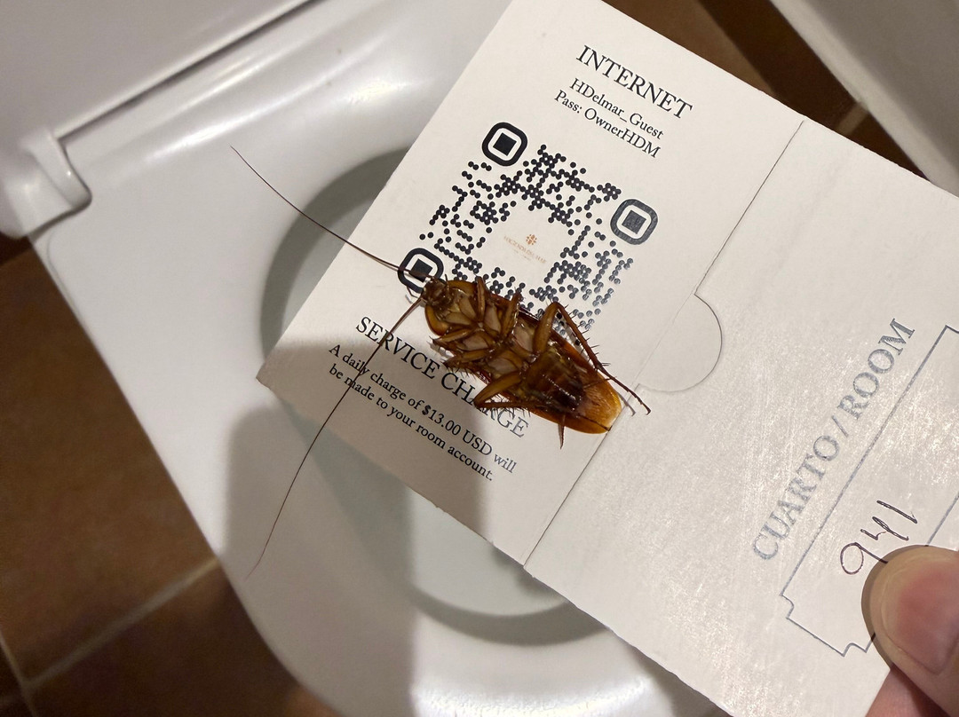 洛斯卡沃斯海滨庄园-傲途格精选酒店全包式度假村主图