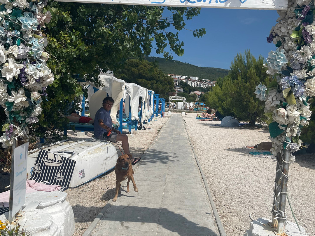 Monty's Dog Beach and Bar-斯利维尼萨必去景点