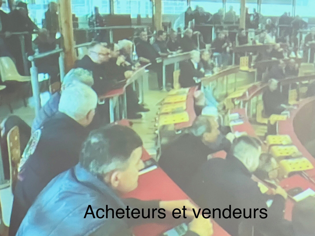 Marche Cadran Saint Christophe Brionnais