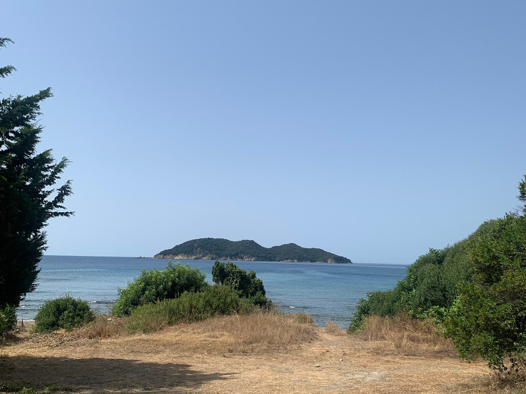 Dafni Beach-扎金索斯必去景点