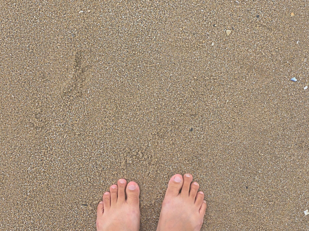 Tenby Castle Beach-腾比必去景点