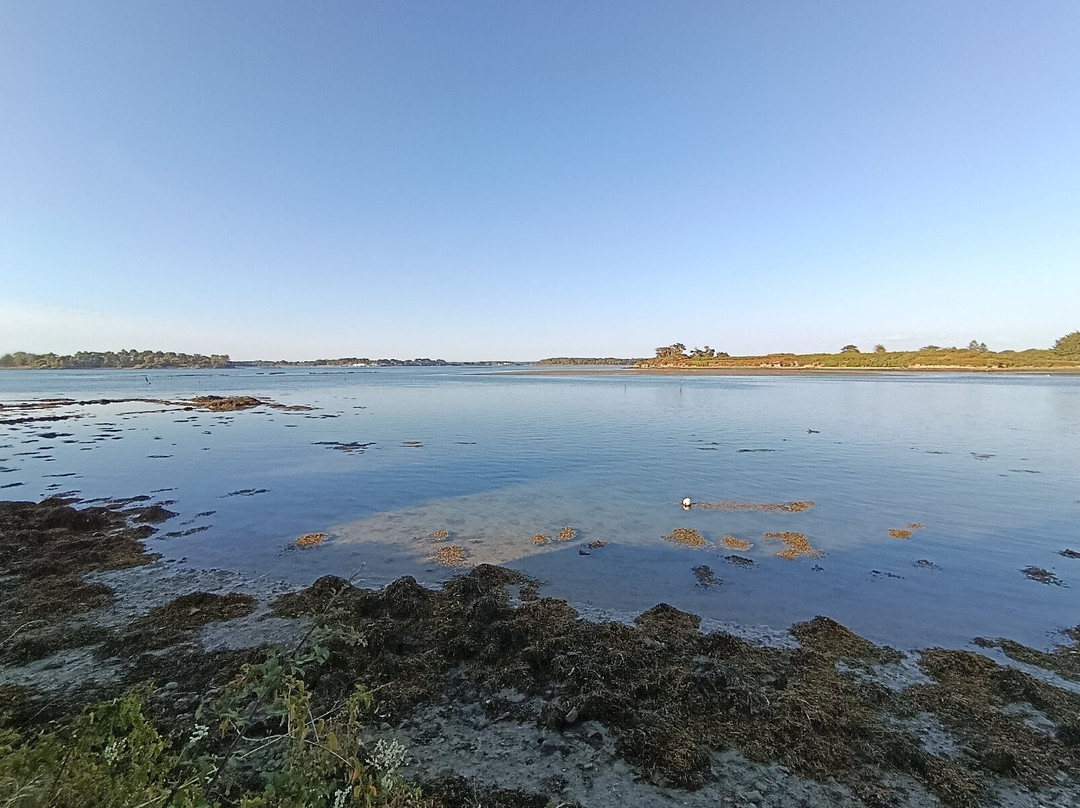 Île de Saint-Cado-Belz必去景点