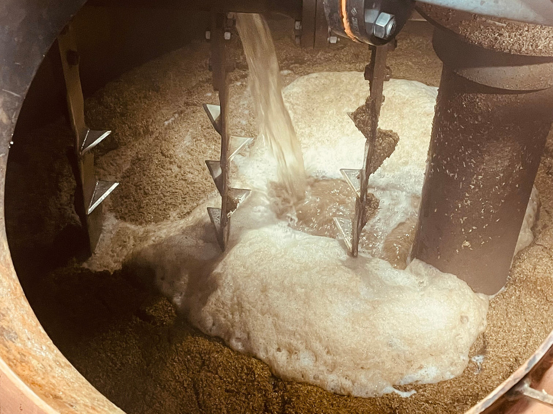 Wolfburn Distillery-Thurso必去景点