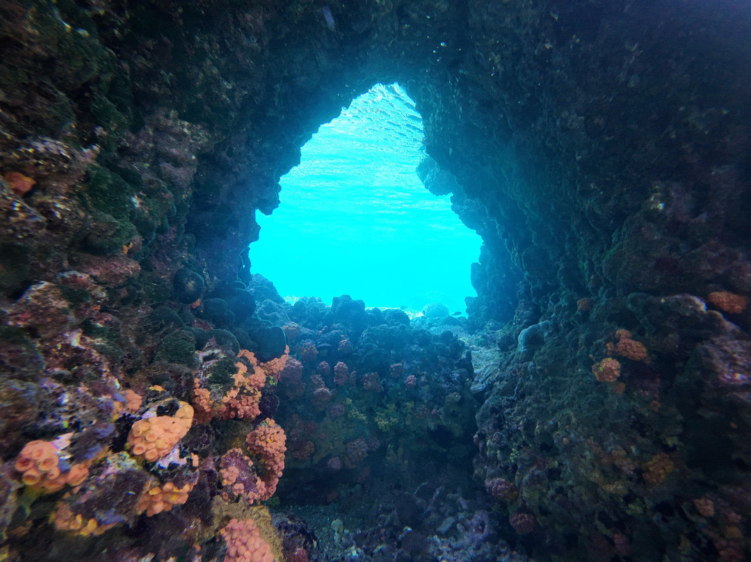阿波岛海洋保护区-Apo Island必去景点