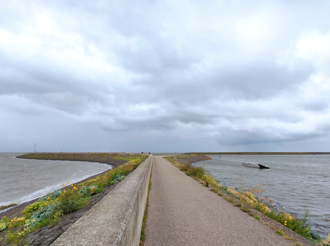 Port of Harlingen-哈灵根必去景点