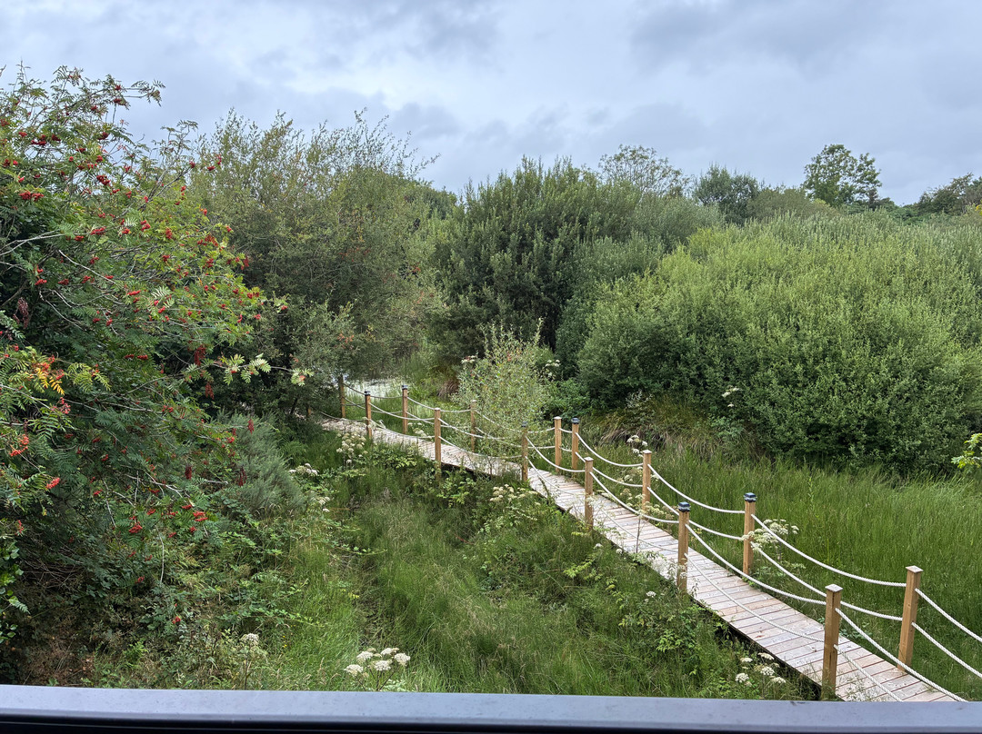 BallyBurren Outdoor Escapes-Ballynahinch必去景点