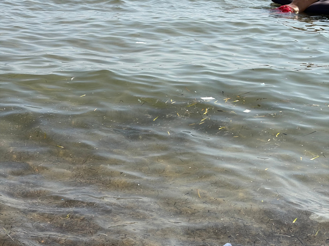 Spiaggia di Ogliastro Marina-Ogliastro Marina必去景点