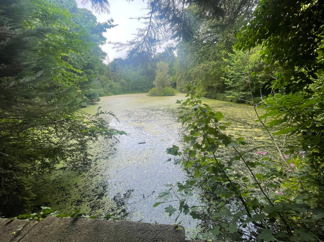 Arbigland House and Gardens-邓弗里斯必去景点