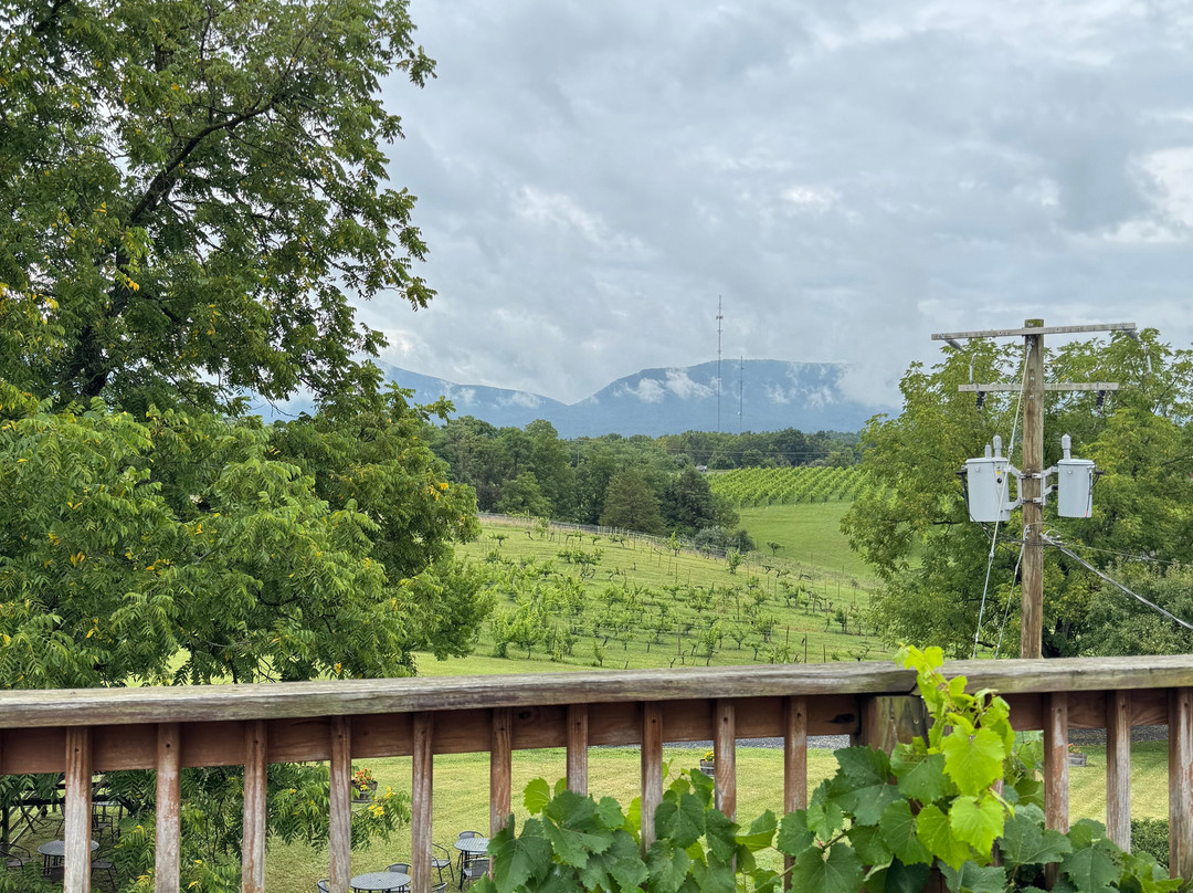 Shenandoah Vineyards-Edinburg必去景点