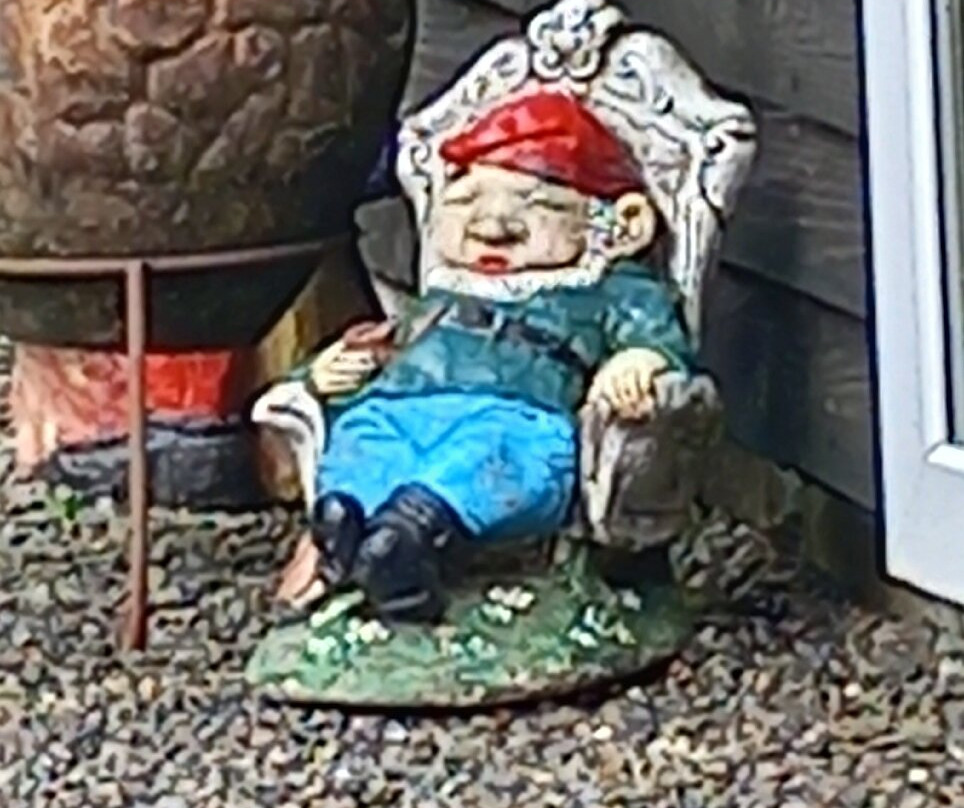 The Gnome Reserve-West Putford必去景点