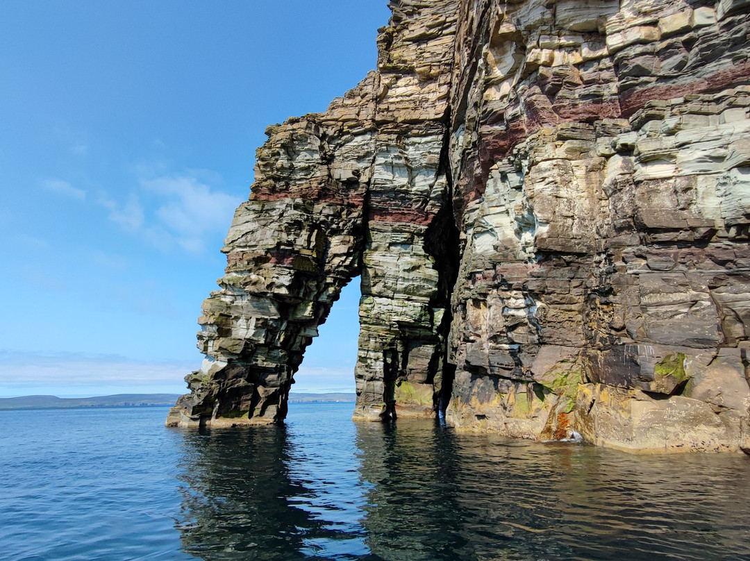 Seabirds and Seals - The Original Noss Boat Tours-Lerwick必去景点