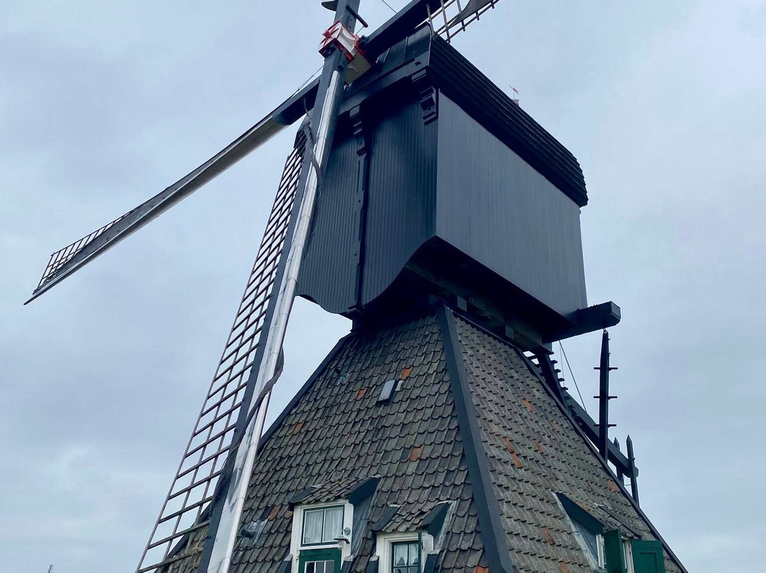 Museum Molen Blokweer-小孩堤防必去景点