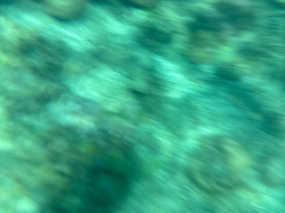 Amed Bali Snorkeling Tour Guide-艾湄湾必去景点