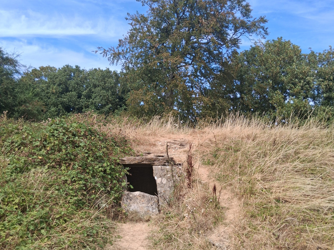 Lanhill Long Barrow-切本哈姆必去景点