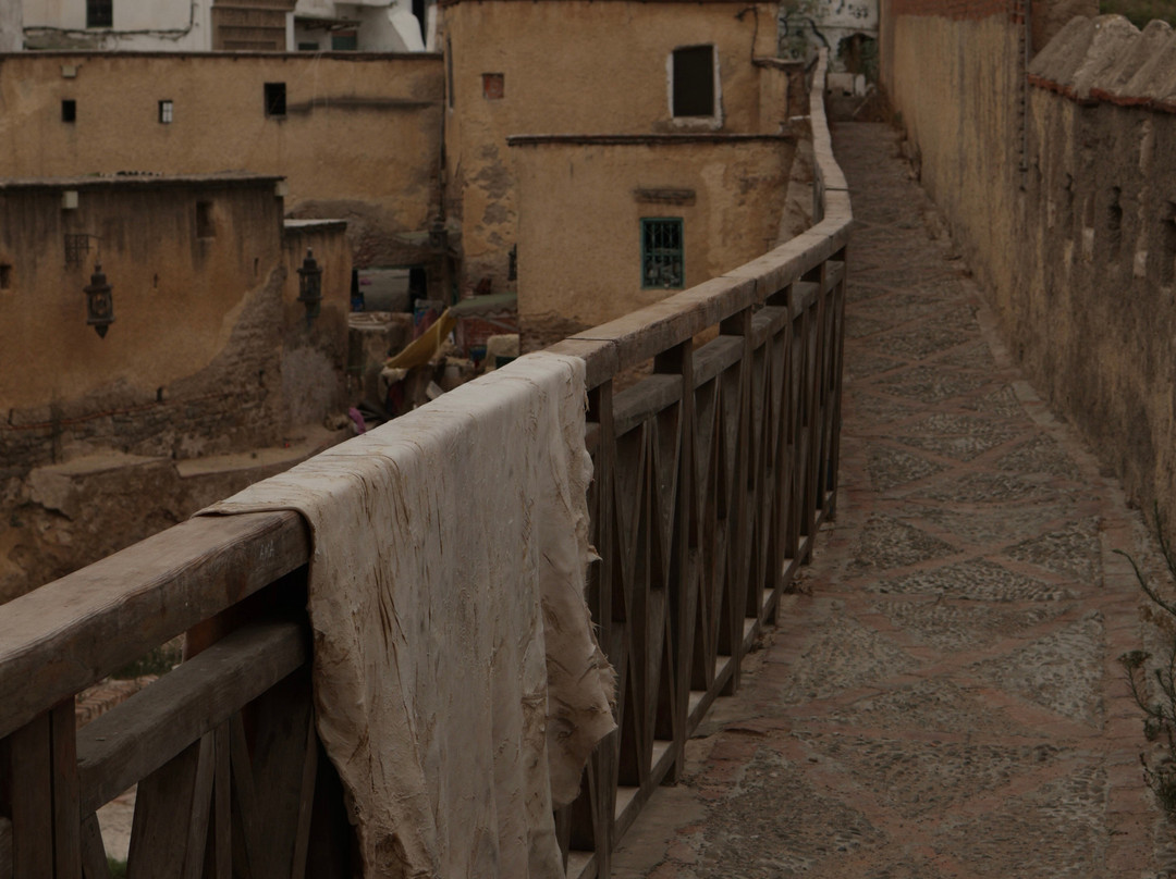 Tanneries of Tetouan-Tetouan必去景点