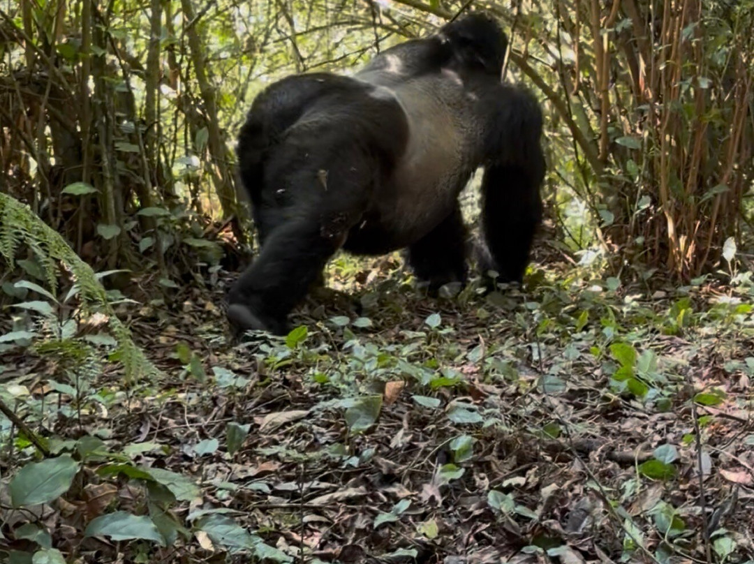Africa Reveal Safaris-Namugongo必去景点