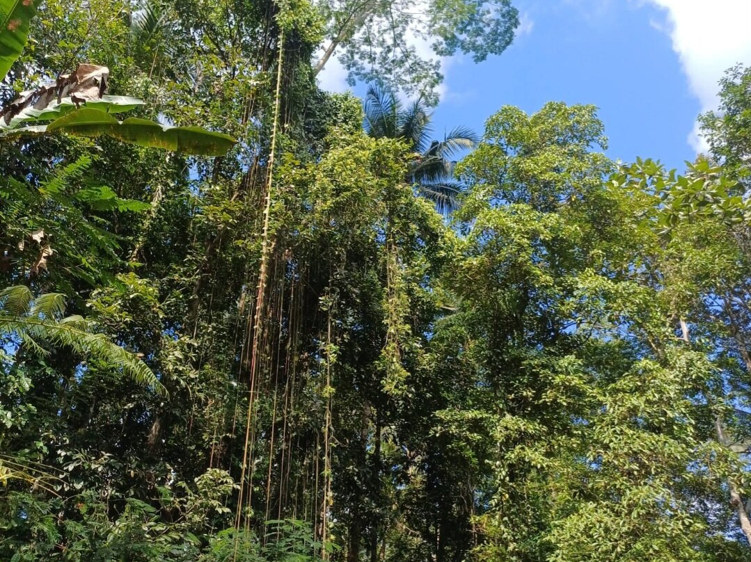 Asep Gumi Retreat主图