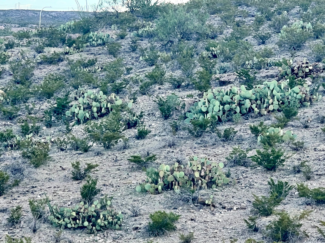 Dripping Springs Natural Area-拉斯克鲁塞斯必去景点