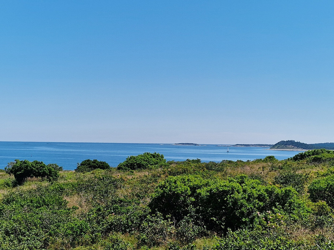 Canso Islands National Historic Site-Canso必去景点